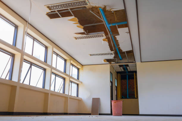 Best Flood damage cleanup  in Greenville, MS