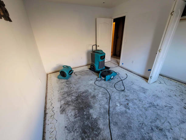 Best Commercial water damage restoration  in Greenville, MS
