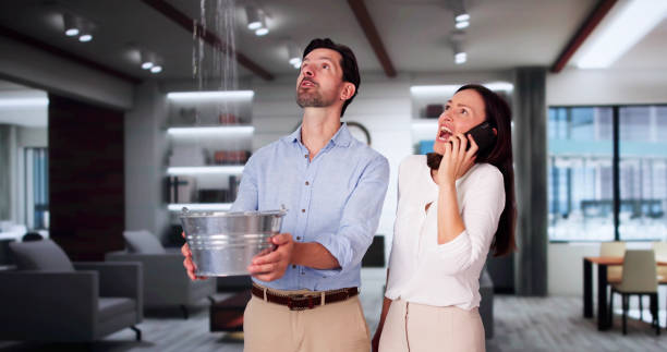 Best Professional water damage repair  in Greenville, MS