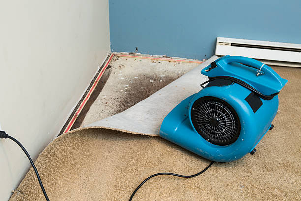 Best Sewage cleanup and water damage restoration  in Greenville, MS